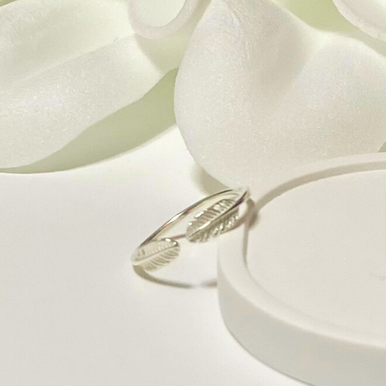 【fr015】シンプルフェザーシルバーリング - 画像 (4)